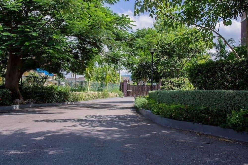 New Kingston Guest Apt At Sonoma Estate Bagian luar foto