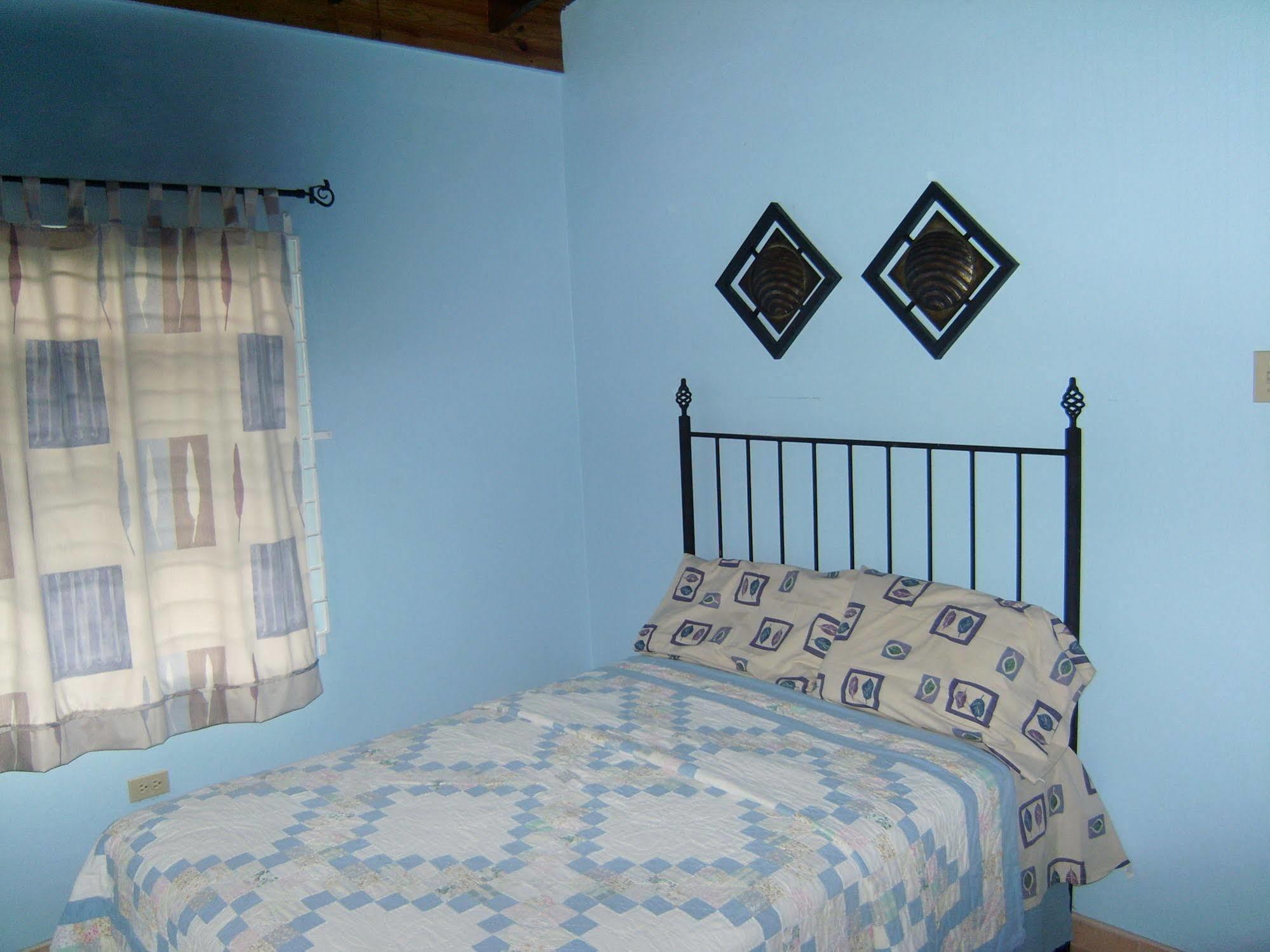 New Kingston Guest Apt At Sonoma Estate Bagian luar foto